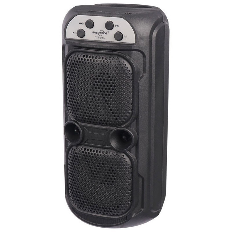 اسپیکر بلوتوثی قابل حمل گریت نایس مدل GTS-2165