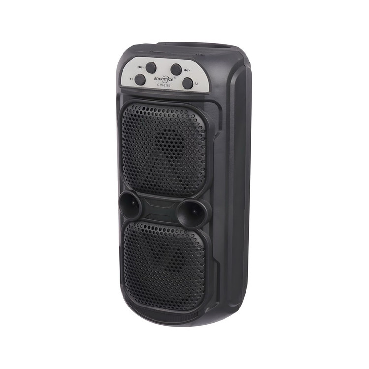 اسپیکر بلوتوثی قابل حمل گریت نایس مدل GTS-2163